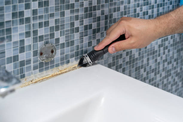 Professional Mold Remediation in Runnemede, NJ